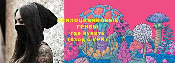 Альфа ПВП Аркадак