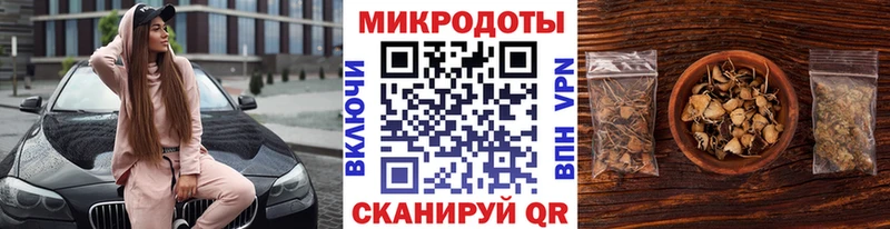 Галлюциногенные грибы Psilocybe  Советск 